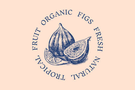 Fresh fig badge. Fruit Foliage label. Cut pieces. Detox spice. Vector Engraved hand drawn sketch for stamp, t-shirt or typography or menu.のイラスト素材