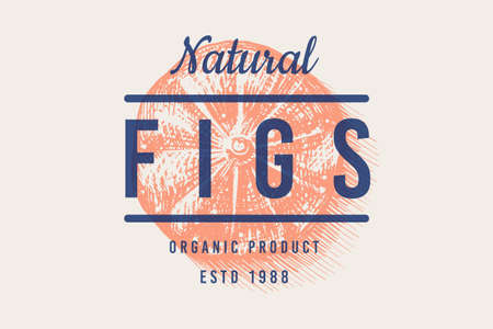 Fresh fig badge. Fruit Foliage label. Cut pieces. Detox spice. Vector Engraved hand drawn sketch for...