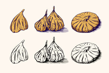 Fresh fig. Dried fruit Foliage. Detox spice. Vector Engraved hand drawn sketch for stamp, t-shirt or typography or menu.のイラスト素材