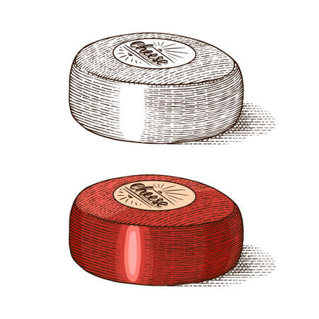 Cheese for market or grocery store. Fresh organic milk. Vector Engraved hand drawn sketch for label, emblem, poster or menu.のイラスト素材