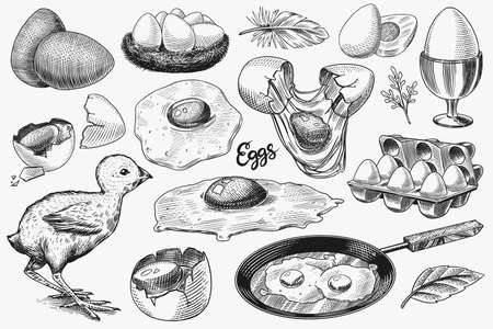 Eggs and chick, farm product, scrambled omelette, packing and nest. Engraved hand drawn vintage sketch. Woodcut style. Vector illustration for menu or poster.のイラスト素材