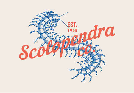 Vintage Scolopendra label for bar or tattoo studio. Emblems badges, t-shirt typography. Engraved Vector illustration.のイラスト素材