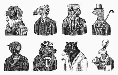 Grizzly Bear with a beer mug. Octopus sailor and Hare or Rabbit waiter. Dog officer and bird. Black panther and Bee biker. Japanese text means: karate. Fashion animal character. Hand drawn sketch.のイラスト素材