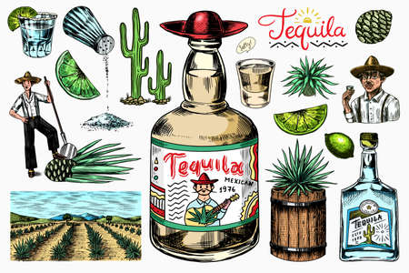 Tequila bottle, shot with lime, blue agave Plant, barrel and root ingredient, farmer and harvest. Engraved hand drawn vintage sketch. Woodcut style. Vector illustration for menu or poster.のイラスト素材