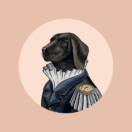 Dog officer or military man in the old uniform. Great Dane. Fashion animal character. Hand drawn...