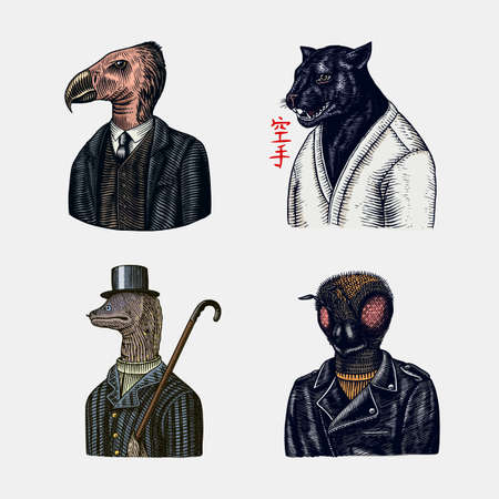 Bird and Black panther and Bee biker. Japanese text means: karate. Fashion animal character. Hand drawn sketch.のイラスト素材