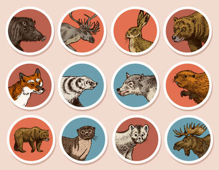 Wild animals stickers in vintage style. Forest Deer Beaver Elk Wolf Bear Fox Marten Badger Boar Hare. Retro monochrome badge or label. Northern European Beasts. Hand drawn sketch.のイラスト素材