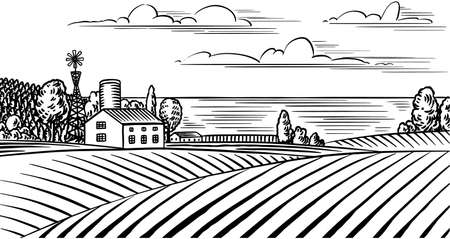 Rural meadow. A village landscape with hills and a farm. Sunny scenic country view. Hand drawn engraved sketch. Vintage rustic banner for wooden sign or badge or label.のイラスト素材