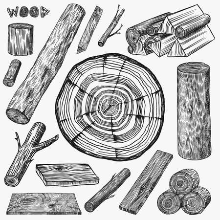 Wood set. Planks and logs, lumber and Cuts, Firewood in vintage style. Pieces of Tree. Campfire material. Engraved Hand drawn sketch.のイラスト素材