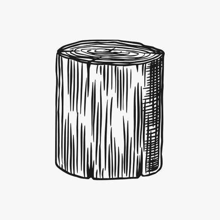Wood or stump. Piece of Tree. Plank and log, lumber and Cut, Firewood in vintage style. Vector illusion for signboard, labels, logo or banner. Campfire material. Engraved Hand drawn sketch.のイラスト素材