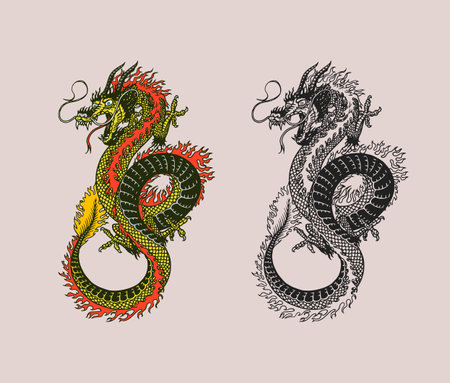 Japanese dragon. Mythological animal or Asian traditional reptile. Symbol for tattoo or label. Engraved hand drawn line art Vintage old monochrome sketch, ink. Vector illustration.のイラスト素材