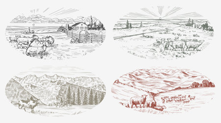 Rural meadow set. A village landscape with sheep, hills and a farm. Sunny scenic country view. Hand drawn engraved sketch. Vintage rustic banner for wooden sign or badge or label.のイラスト素材