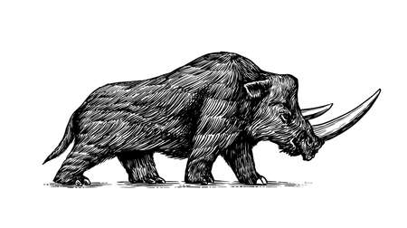Woolly rhinoceros. Extinct animal. Ice Age. Vintage retro vector illustration. Doodle style. Hand drawn engraved sketchのイラスト素材