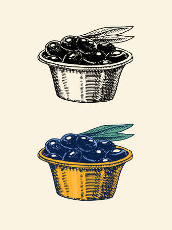 Olives in a saucer. Organic vegetarian product. Fruits in a bowl. Engraved hand drawn in old vintage sketch. Vector illustration.のイラスト素材