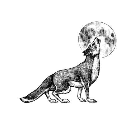 Gray wolf. Gray wolf. A predatory beast and the moon. Wild forest animal. Vector Engraved hand drawn Vintage old sketch for stamp, t-shirt or typography or badge.のイラスト素材