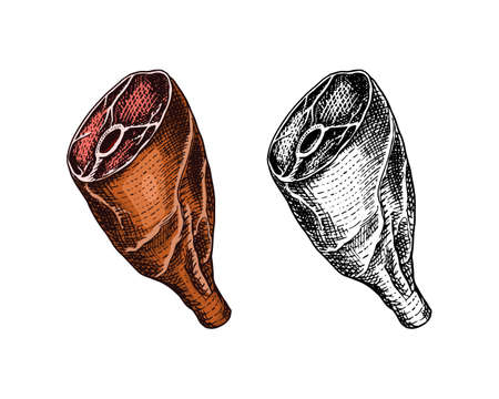 Grilled meat, Raw Pork or beef leg. Barbecue food in vintage style. Template for restaurant menu, emblems or badges. Hand drawn sketch.のイラスト素材