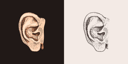 Hand Drawn Ear Sketch Symbol. Vector Listen Element In Trendy Style. Vector illustrationのイラスト素材