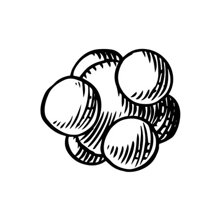 Chemical formula or molecule sketch. Medicine drawing. Vector doodle set. Education doodle icon. Outline black ink for infographic, website or app.のイラスト素材