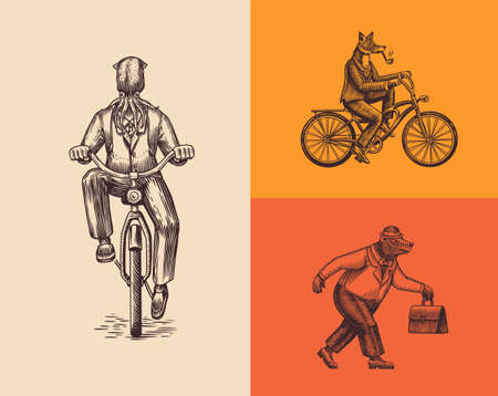 A fox with a pipe in a suit rides a bicycle. Squid and bear. Fashion Animal characters set. Hand...