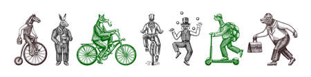 Fox on a bicycle, Cat juggler, turtle on a scooter. Bear, horse, hare, Owl, Squid. Fashion Animal characters set. Hand drawn sketch. Vector engraved illustration for label, logo and T-shirts.のイラスト素材