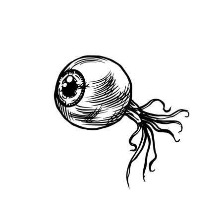 Cornea or Muscles of Human eye. Vintage engraving sketch. Doodle outline. Hand drawing.のイラスト素材