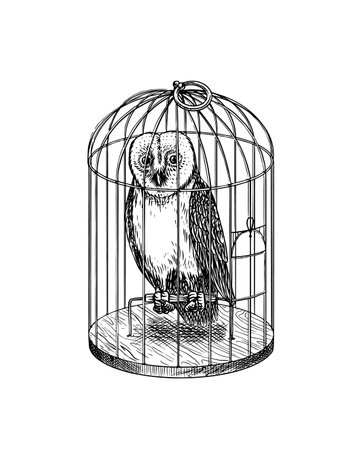 Owl in a cage. Predatory forest Wild bird. Vintage engraving sketch. Doodle outline. Hand drawing.のイラスト素材