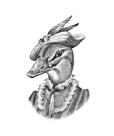 Duck character in a hat. Fashionable lady or dame. Hand drawn bird. Engraved old monochrome sketch.のイラスト素材