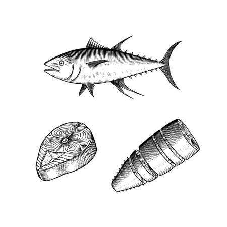Tuna seafood. Fishes sketch. Retro ink style. Freshwater river fish. Sandwich and canned food. Hand drawn vector illustration for market, menu, label. Organic product in ink and grunge style.のイラスト素材
