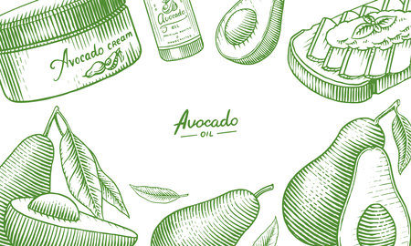 Tropical avocado. Set of evergreen fruit plant. Cosmetics for skin care. Organic oil in the bottle. Background or poster or banner. Isolated Vector hand drawn. Engraved Vintage template for design.のイラスト素材