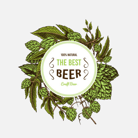 Hop cones and Barley sticker, emblem or badge or logo. Malt Beer for poster or banner. Engraved vintage. Hand drawn Sketch for web or pub menu. Design elements isolated on white background.のイラスト素材