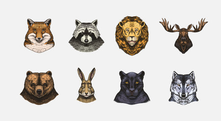 Fox and raccoon, dog Deer and hare, panther and wolf monkey Polar bear and lion, Brown bear and bull.. Animal in vintage style. Retro vector illustration. Doodle style. Hand drawn engraved sketchのイラスト素材