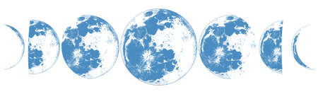 The Phases Of The Moon Are Shown In Blue On A White Backgroundのイラスト素材