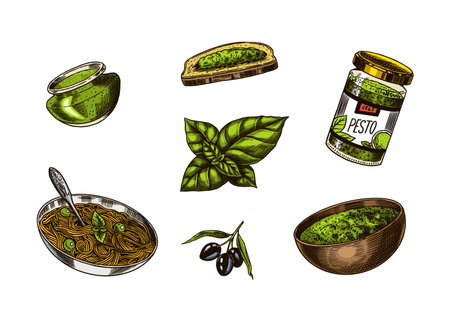 Pesto sauce set. Basil leaves, garlic, pine nuts, hard parmesan cheese, olive oil, pesto alla genovese. Spicy condiment, glass bottle, wooden spoon or dish, bunch of seeds. Engraved hand drawn sketch.のイラスト素材