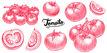 Set of tasty and fresh red tomatoes, hand drawn vegetables in engraved old traditional style. sketch or linework drawing for product or food storeのイラスト素材
