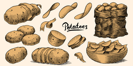 Potatoes and plant hand drawn. Collection of vegetables and chips in a dish and full sack of fresh food. Spud or pratie engraved pieces. Murphy in groups ready to eatのイラスト素材