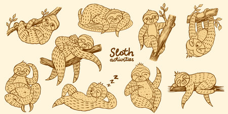 Cartoon sloth characters in hand drawn style. Different poses, hanging, eating, chilling on a branch Cute animal for kids clothes design for sleeping or lazy concepts. Adorable little creatureのイラスト素材