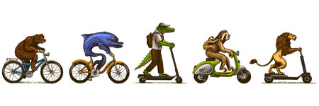 Animal characters on vehicles. Sloth with a baby on a scooter and dolphin on a bike, lion, bear...