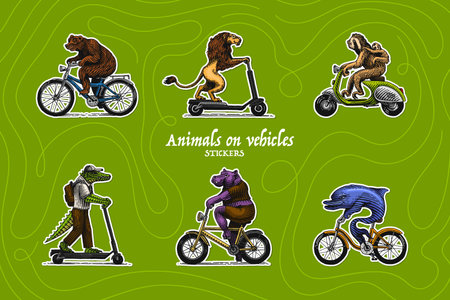 Animal characters on vehicles. Sloth with a baby on a scooter and dolphin on a bike, lion, bear crocodile, hippo. Hand drawn engraving, woodcut style for sport events, emblems, beverages, cartoonのイラスト素材