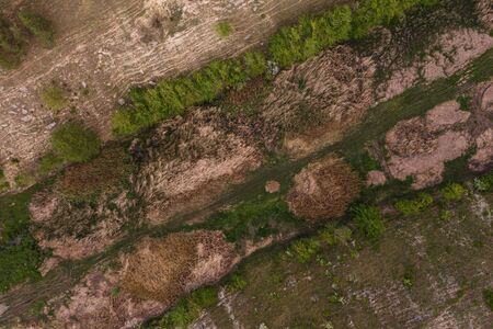 Aerial top view of rocks and tree, mountain ecosystem and healthy environment concept and background, Texture of green tree, stones and landの写真素材