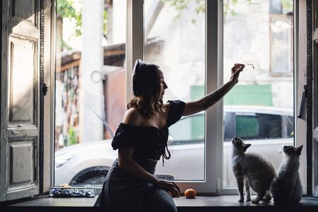Lovely woman playing with Siamese cats at home. Friendship between humans and animalsの写真素材