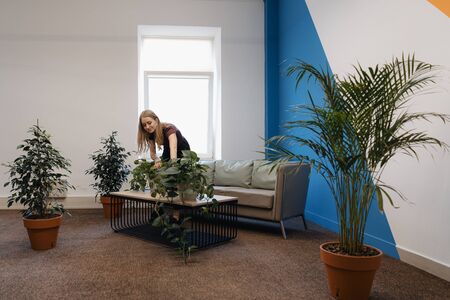 Young pretty woman gardening in the office. Healthy life concept, taking care of employees health.