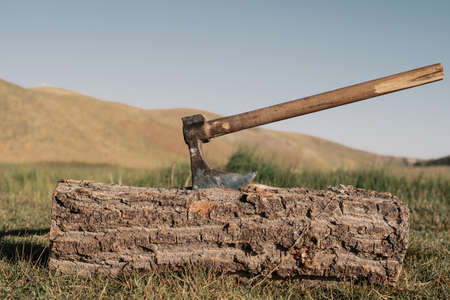 The ax splits a log in the mountains. Firewood chopping. Chopping wood.の写真素材