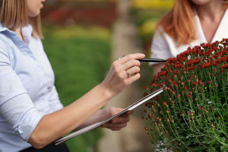 Greenhouse owner presenting flowers options to a potential customer retailer. They have a business discussion, planning future collaboration while noting and negotiating conditionsの写真素材