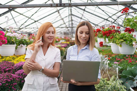 Greenhouse owner presenting flowers options to a potential customer retailer using laptop. They have a business discussion, using smartphone and negotiating conditionsの写真素材
