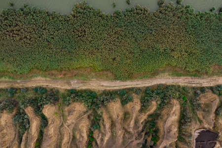 Aerial top view of countryside road dividing grinery and sand dunes. Texture of green plants view...