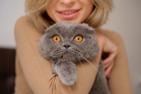 Pets, morning, comfort, rest and people concept - happy young woman with cat in bed at homeの写真素材