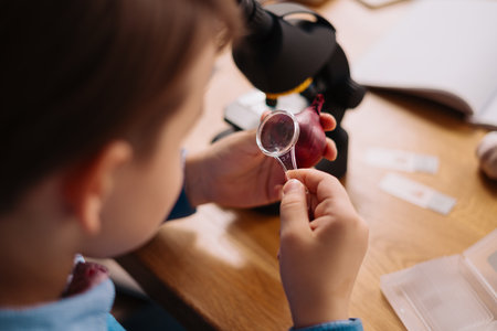 Distance online education, internet learning. First grade boy studying at home using microscope,...