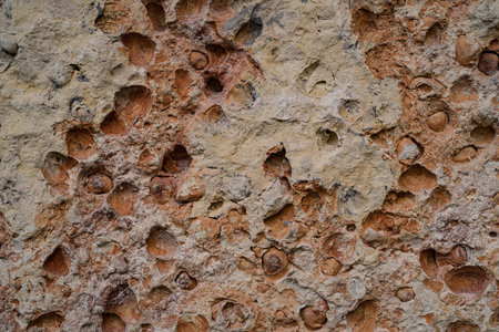 Sea stone. Mineral stone and erosion texture. Round shape damage. Wallpaper and background.