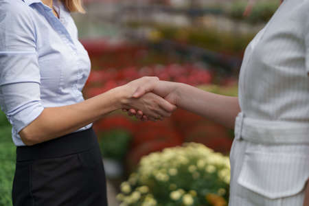 Greenhouse owner presenting flowers options to a potential customer retailer. They have a business discussion, planning future collaboration while noting and negotiating conditionsの写真素材