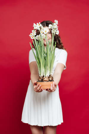 Portrait of an attractive young woman in summer clothes holding potted blooming flowers over red backgroundの写真素材